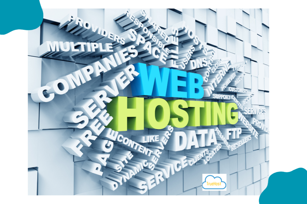 an image on cheap web hosting