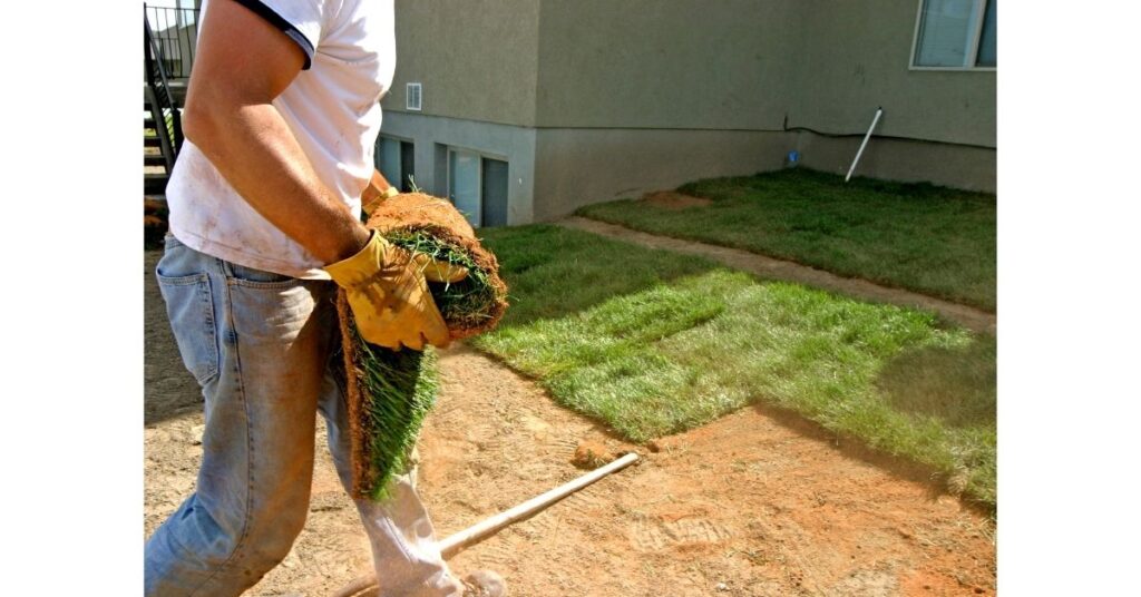 Landscaping