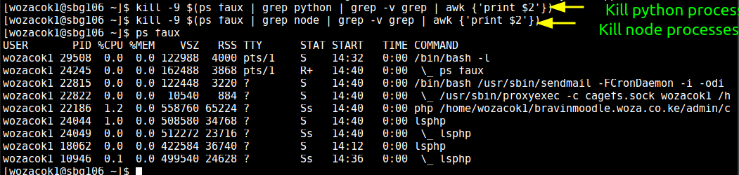 How To Kill Python Html Server How to kill Python or Nodejs processes on cpanel