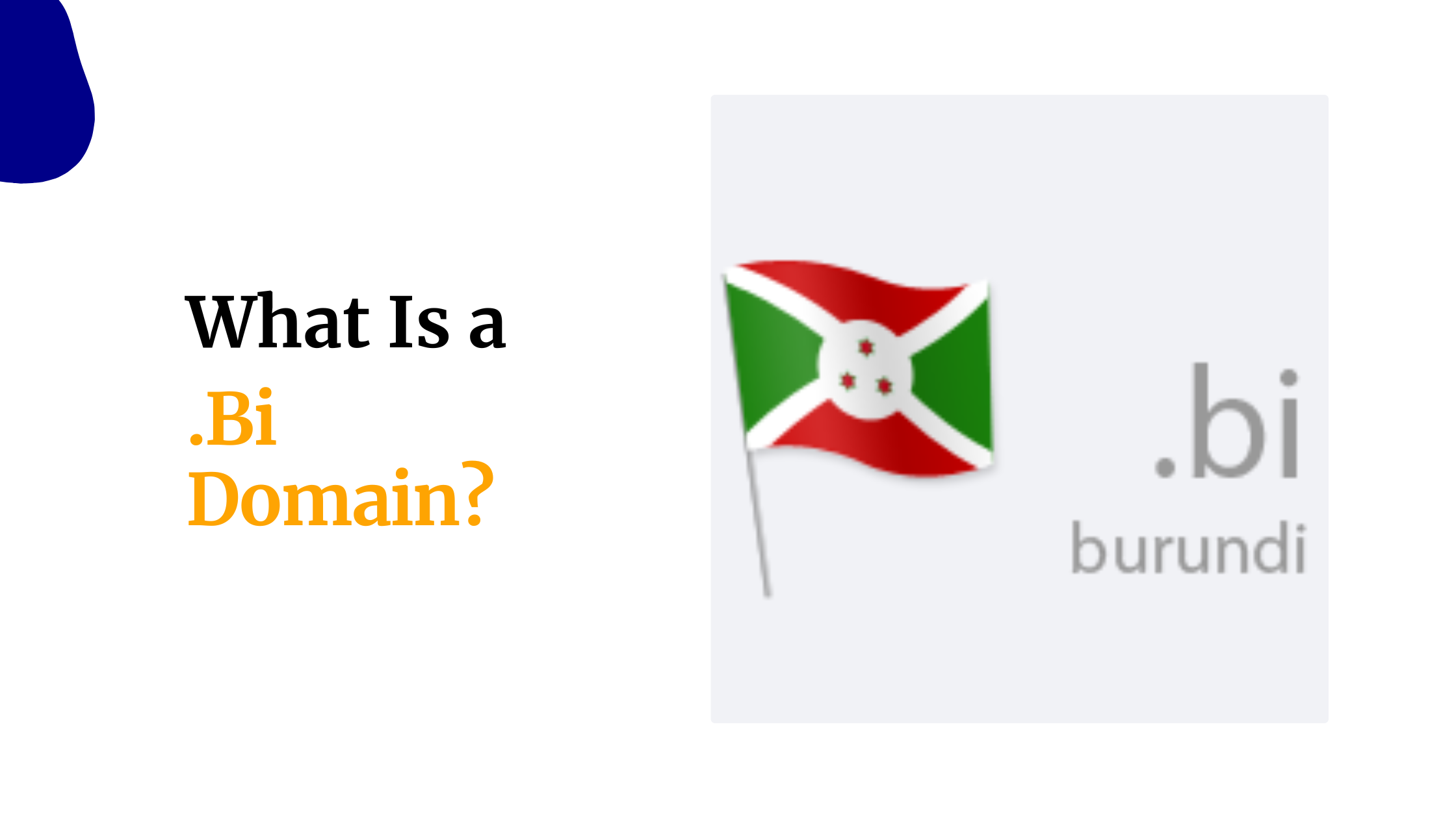 What Is a .Bi Domain?