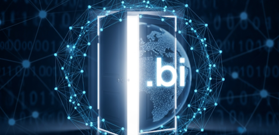 .bi domain requirements
