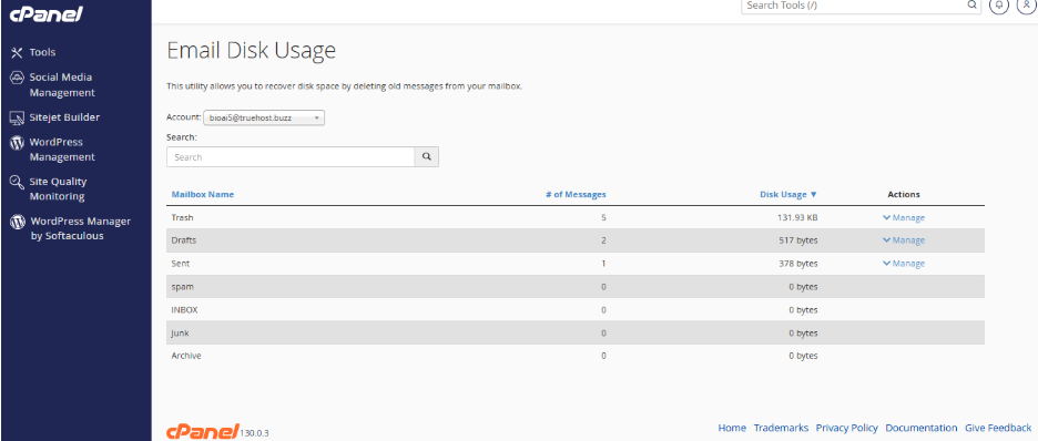 email disk usage in cpanel