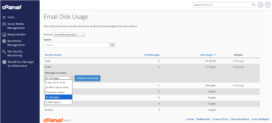 email disk usage in cpanel