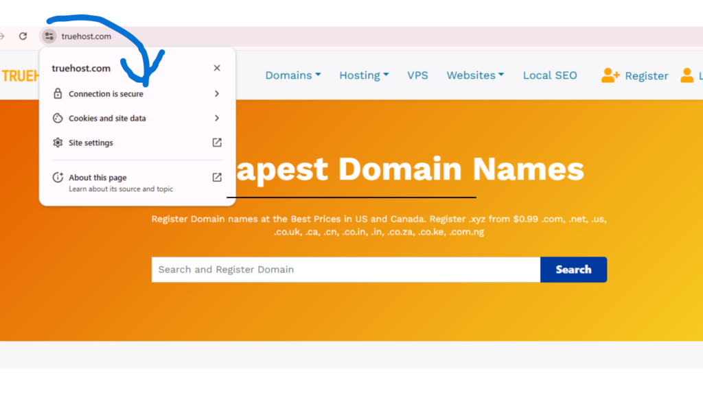 A screenshot of Truehost website confirming it has an SSL and is secure