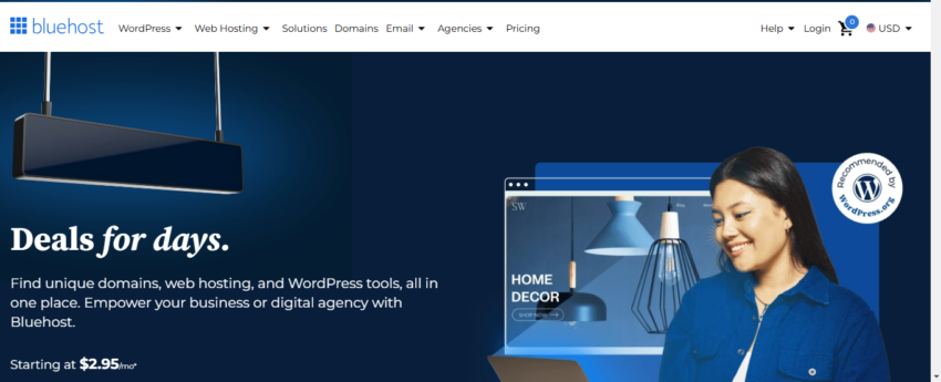 a screenshot of bluehost.com