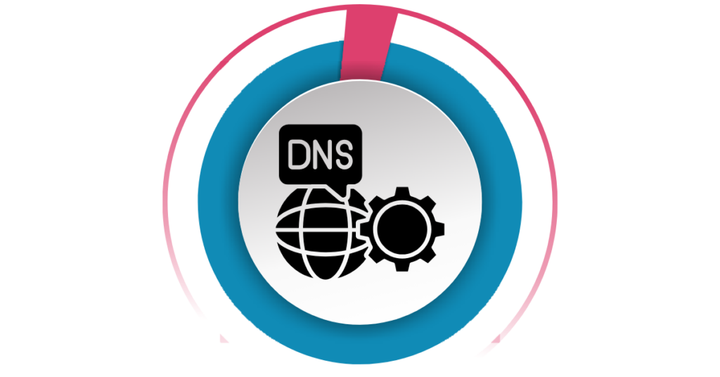 DNS icon