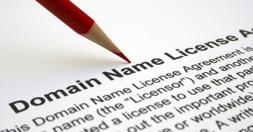 Domain name license agreement