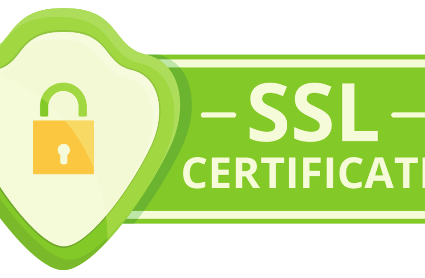 Public SSL Certificate Icon, Cartoon Style