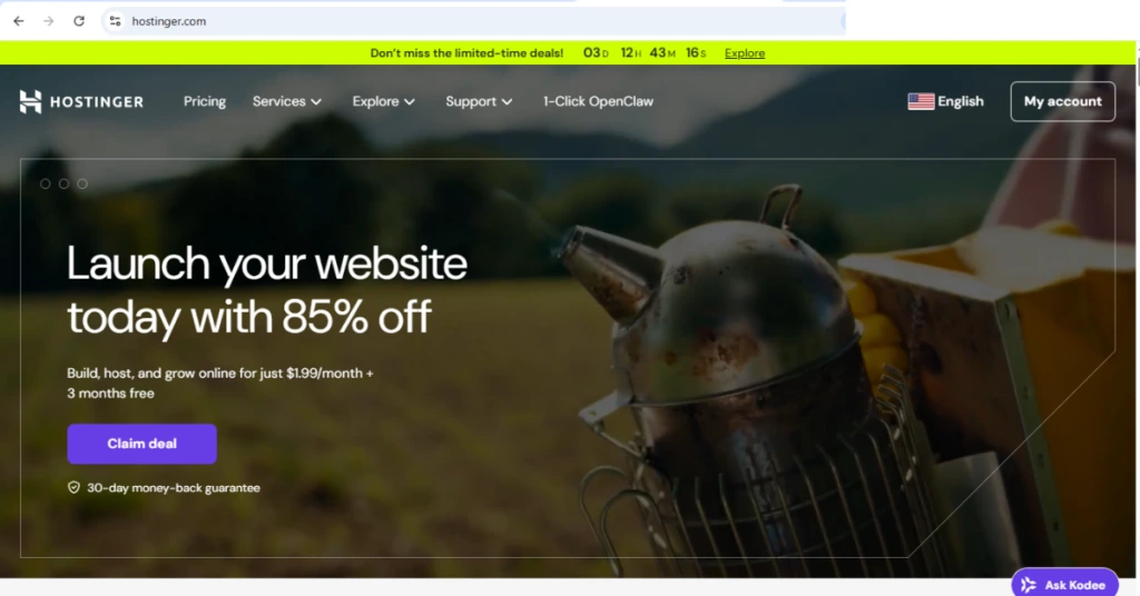 A screenshot of Hostinger hosting provider homepage