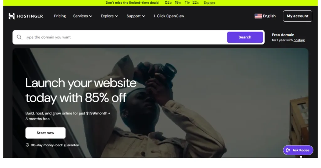 Hostinger WordPress Hosting for Beginners