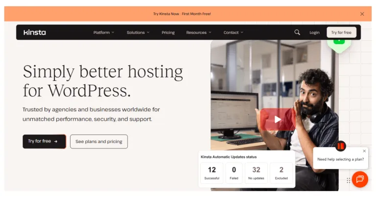Kinsta WordPress Hosting for Beginners