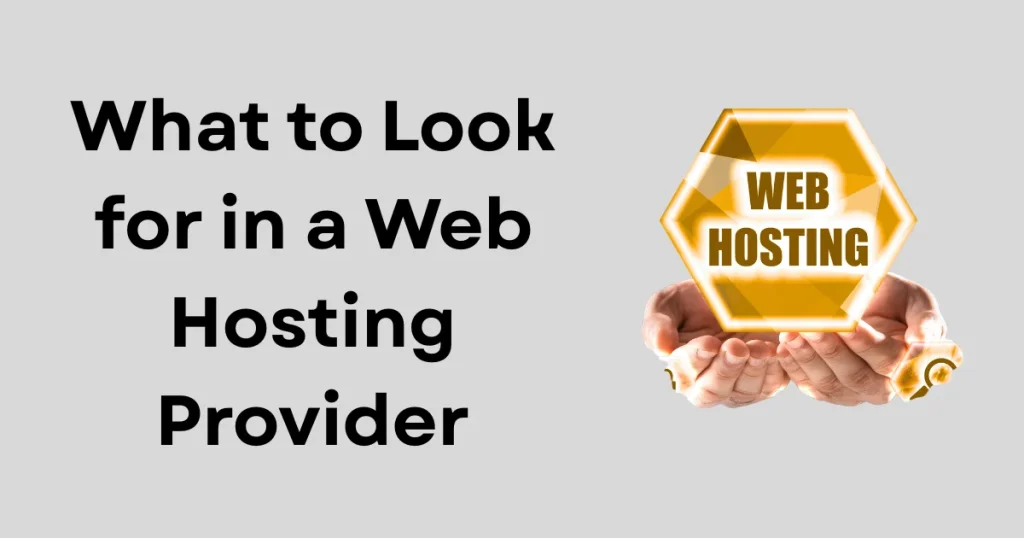 What to Look for in a Web Hosting Provider
