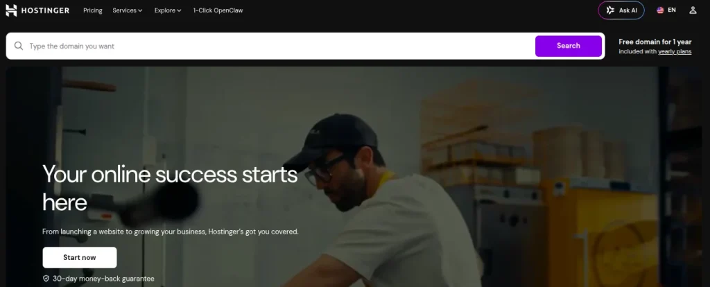 hostinger domains