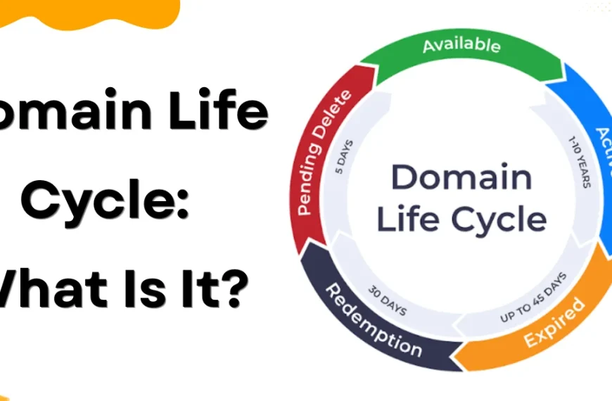Domain Life Cycle What Is It