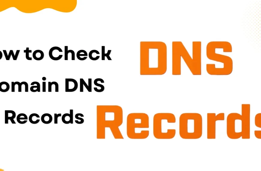 How to Check Domain DNS Records