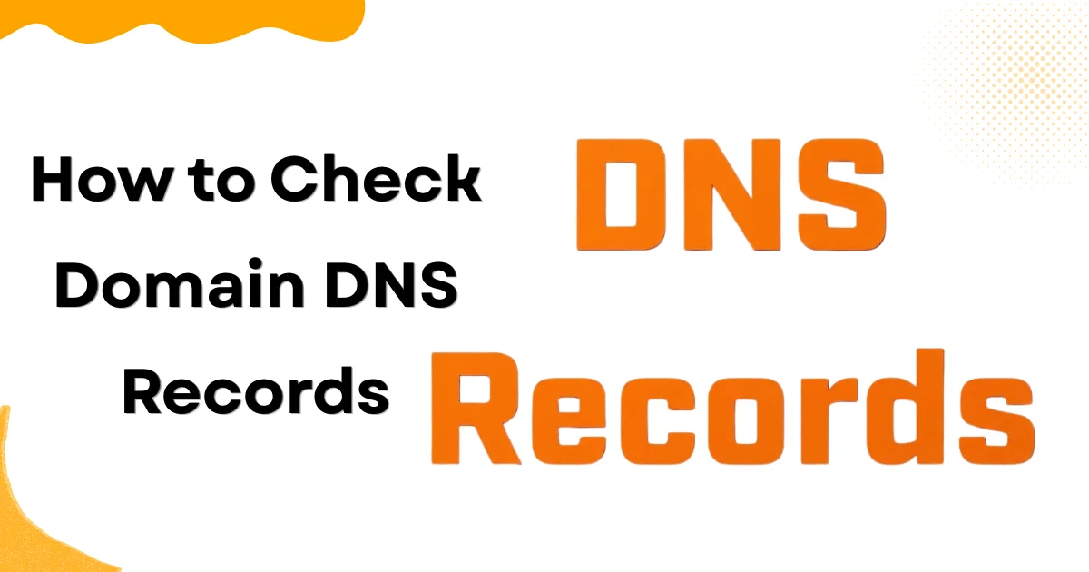 How to Check Domain DNS Records