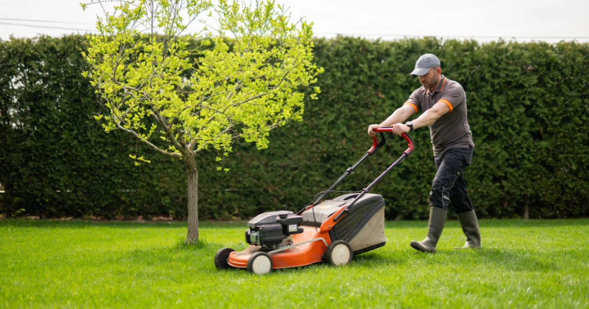 Lawn Care 