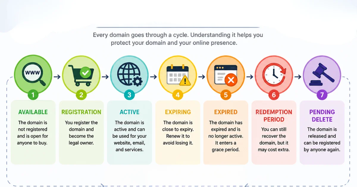 The Stages of the Domain Life Cycle