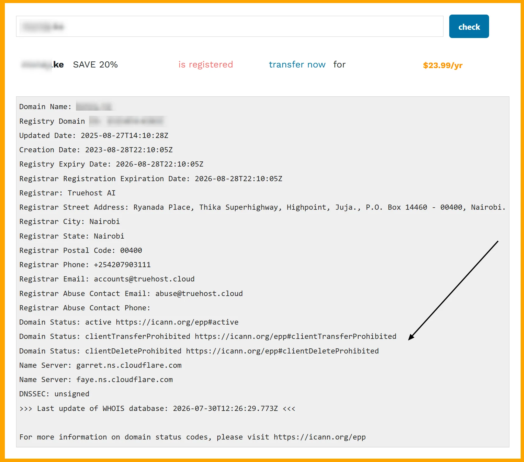 Domain Registration Status Overview Screenshot of a domain registration status showing various EPP codes.