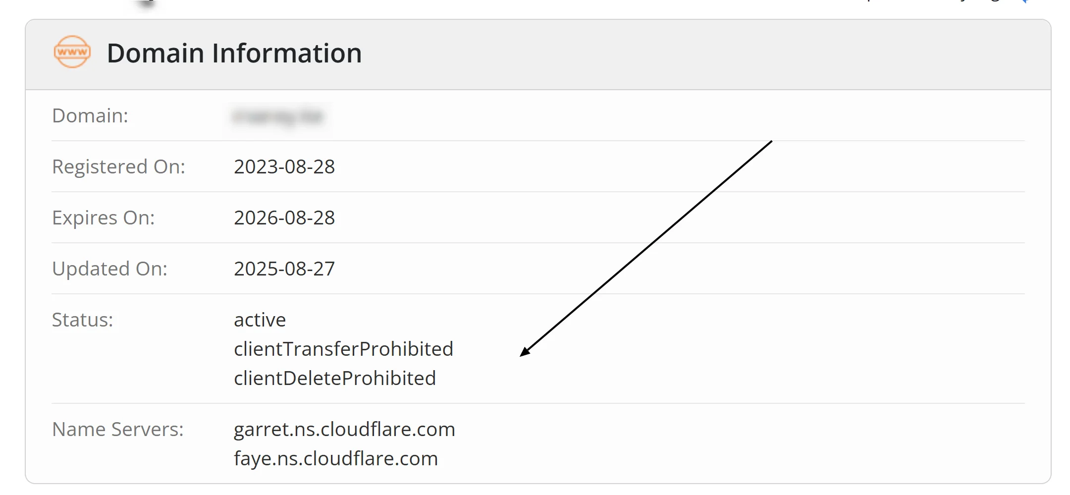 Domain Status Codes: What clientHold, serverHold, pendingTransfer and Other EPP Codes Mean domain status codes