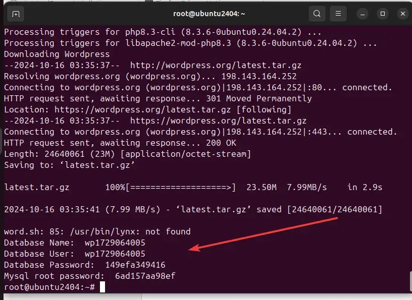 download wordpress package and install on vps