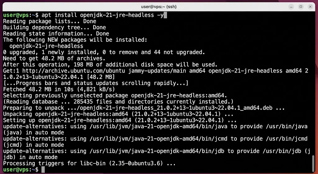 Install Java on Your VPS apt install openjdk-21-jre-headless -y