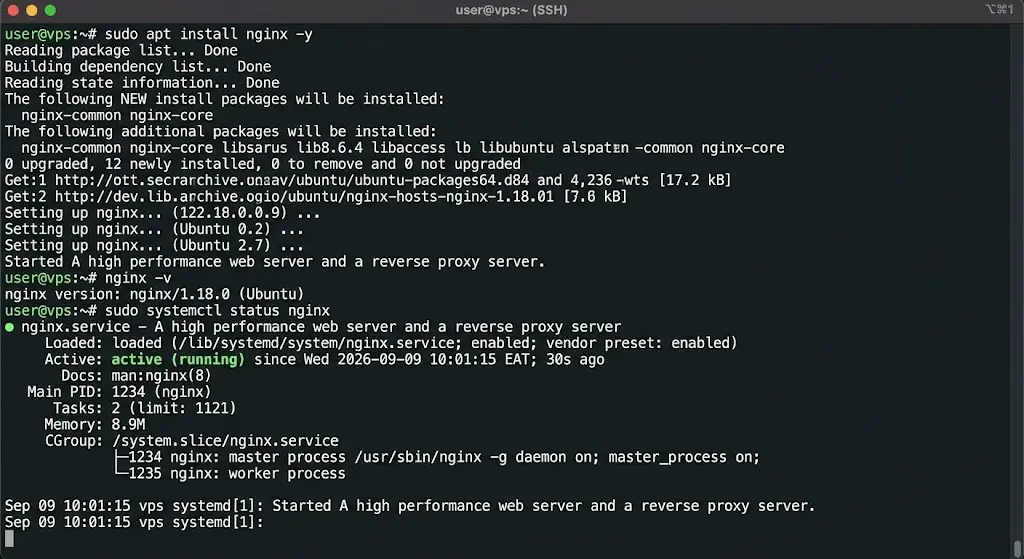 sudo apt install nginx -y
nginx -v
sudo systemctl status nginx